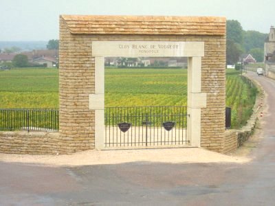 Clos Blanc de Vaougeot.